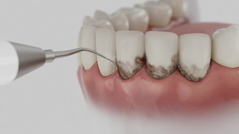 Reliable Dental contractor in Lithopolis, OH by Dentist Open Now